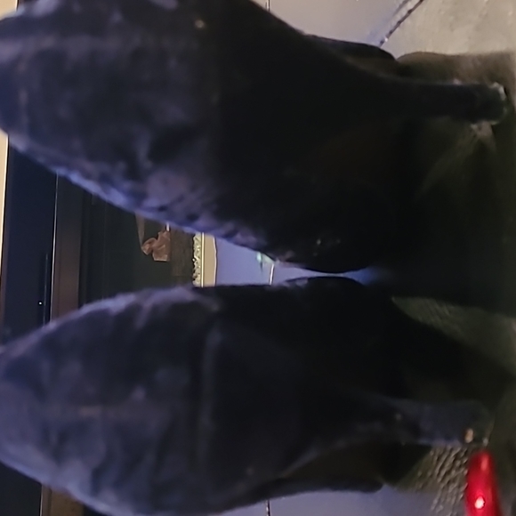 Poetic license green velour festive heels size 7.5 - Picture 2 of 4